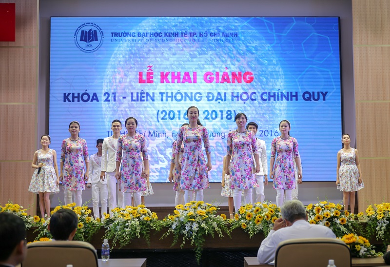 cá cược thể thao hul city